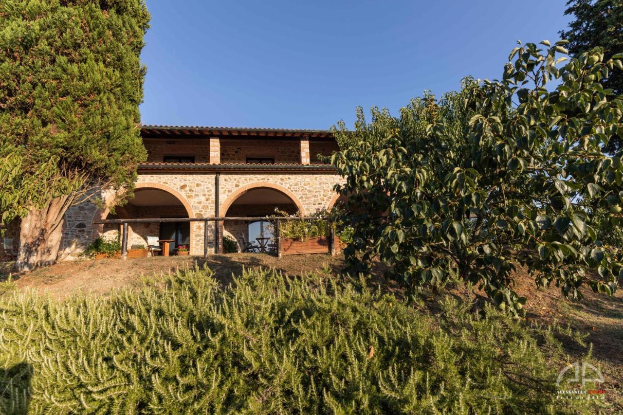 Villa Sant Anna Sassetta Bagian luar foto